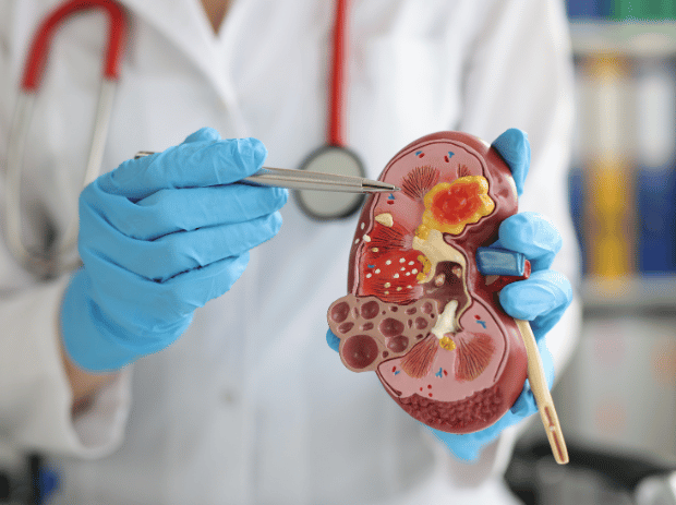 urology